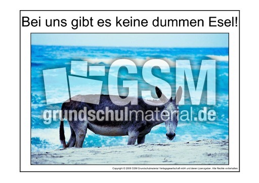 Dummer-Esel-1.pdf